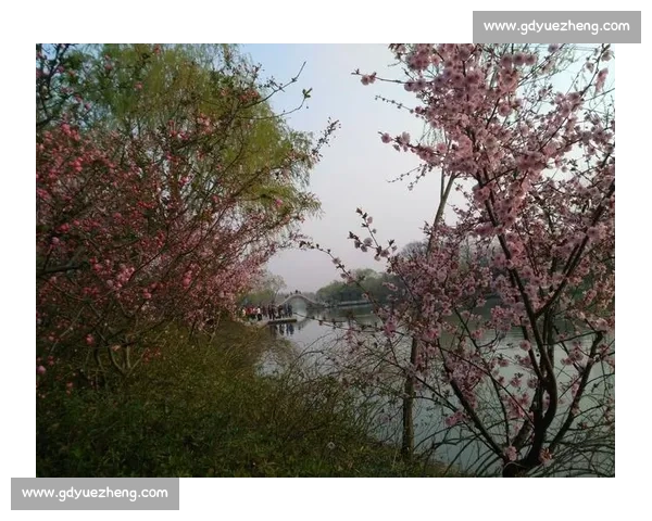 花开之日,赴你之约